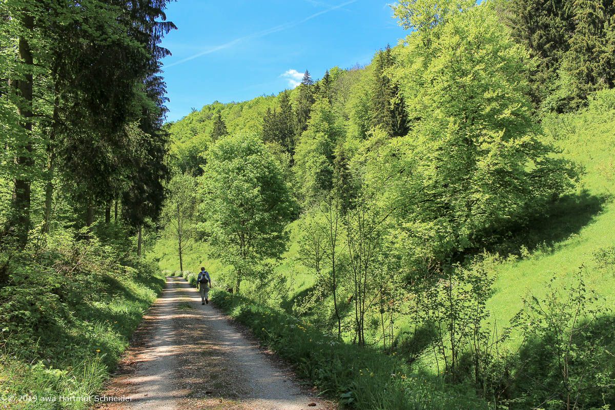 1. AWA 2019 -Münsinger Alb